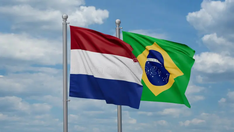 NL brazil flags